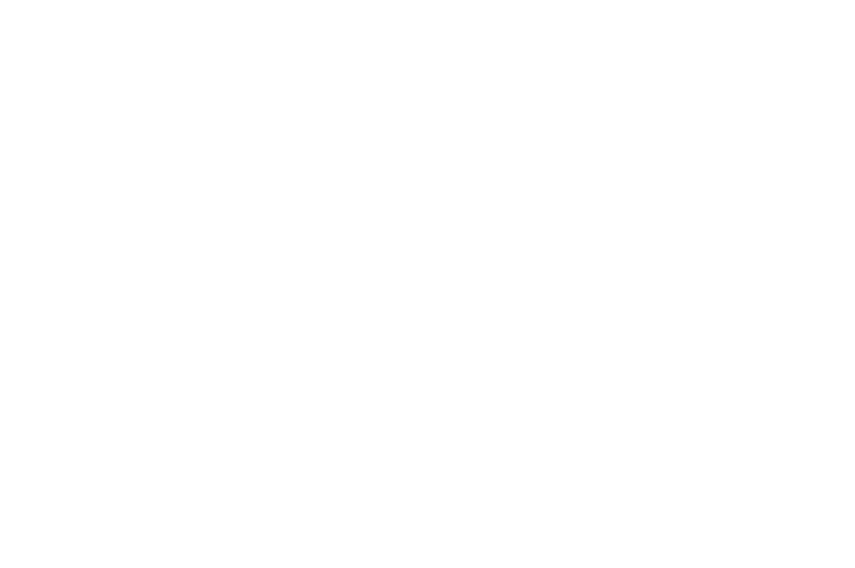 OFFICIAL SELECTION - WCAIFF Festival - 2022